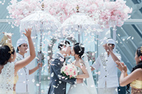 src=http___speed.qwedding.cn_p_kepian_wedding_7.jpg&refer=http___speed.qwedding_副本.jpg
